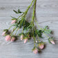 26" Artificial Thistle Eryngium Sea Holly-10Flowers : Soft Pink