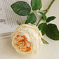 17"Real touch English Austin Cabbage Rose Stem: Pure White