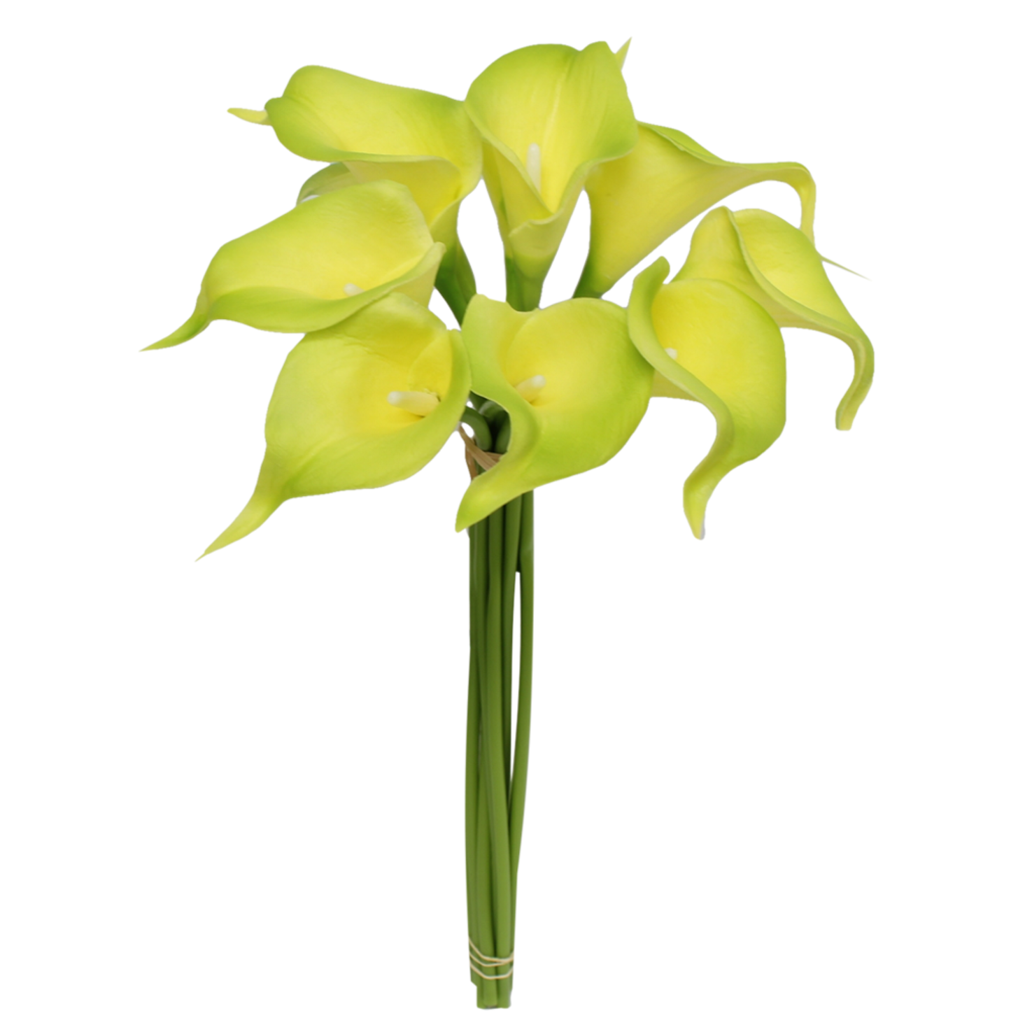 Pack of 10-real touch calla lily green color palette: Clover Green