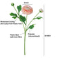 18" Real Touch Ranunculus: Coral