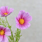 20" Real Touch Cosmos White with pink