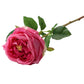 17"Real touch English Austin Cabbage Rose Stem: Pure White