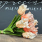 14"-Pack of 12 stems-Soft Real Touch PU Parrot Mini Tulip: White