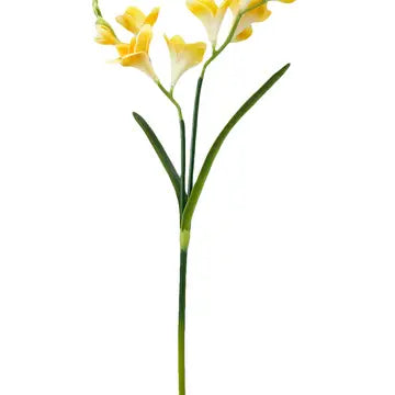Freesia - Soft Yellow