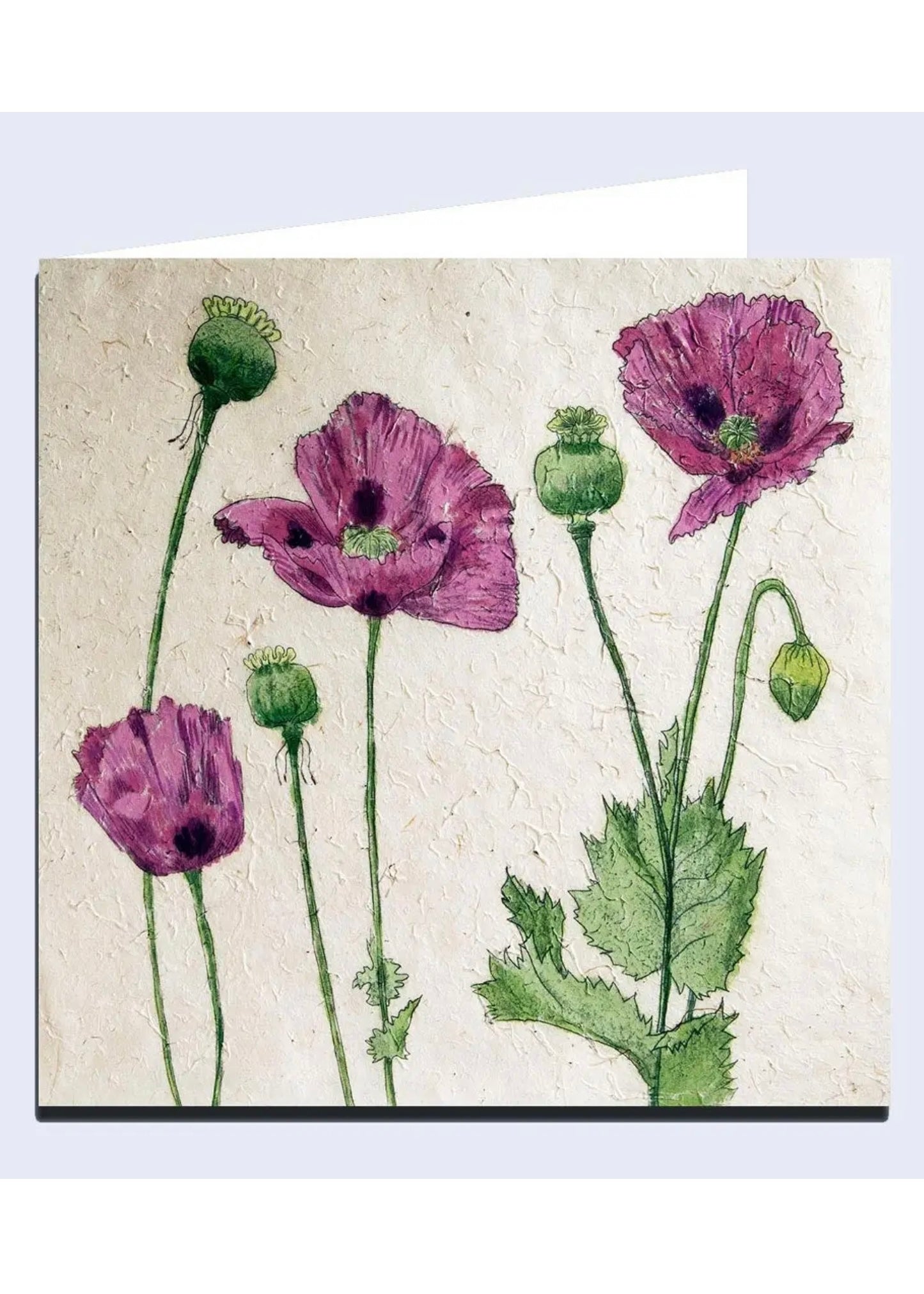 'Poppies' Note Card
