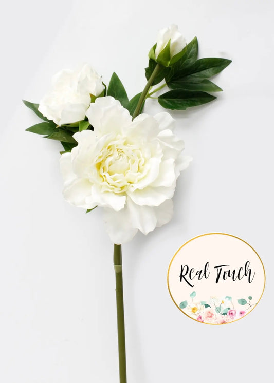 Peony Stems-Soft White