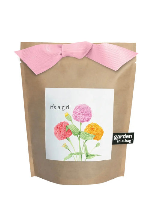 It's a Girl | Garden in a Bag