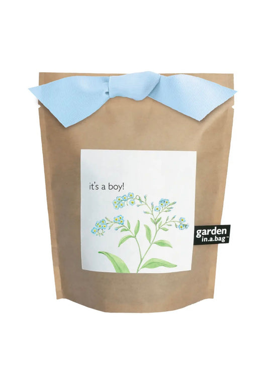 It's a Boy | Garden in a Bag