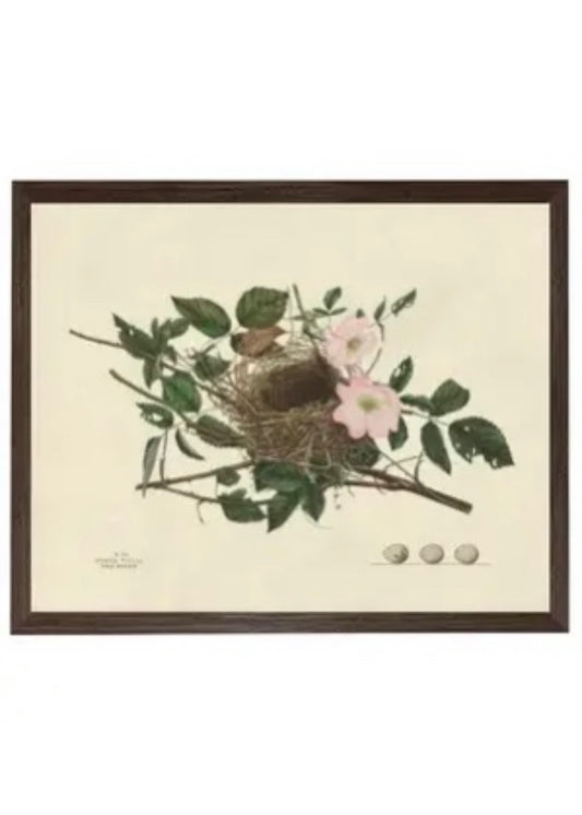 Bird Nest Plate Horizontal