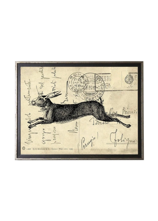 Hare Postcard Art
