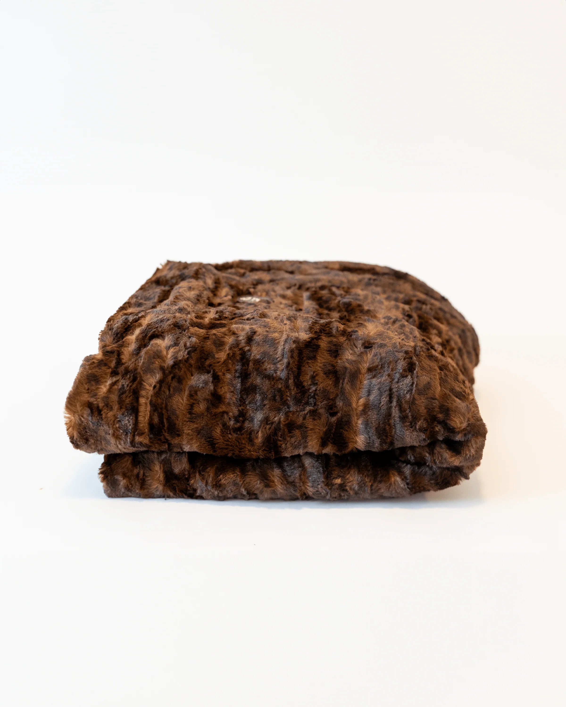 Mahogany Jaguar Keikico