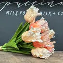 Parrot Mini Tulip Real Touch
