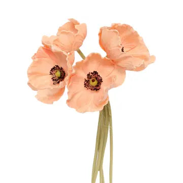 Poppy - Peach Bellini